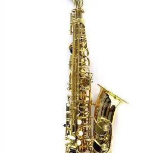 Nouveauté Carlton Lacquered Alto Saxophone w/Case